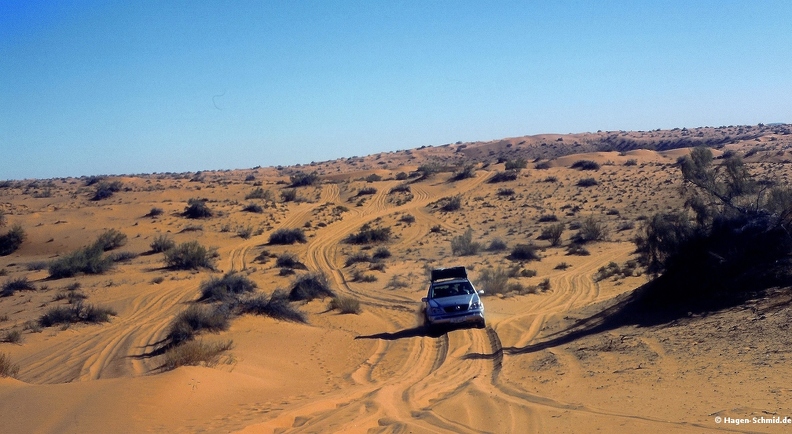 Nafud  Desert