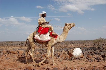 Camel rider A