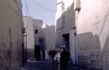 Riadh old town donkey 1967