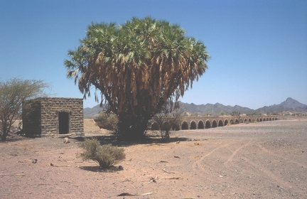 Wadi Hamdh Bridges with guard house