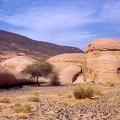 Landscape near Mada'in Salih