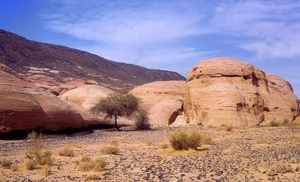 Landscape near Mada'in Salih