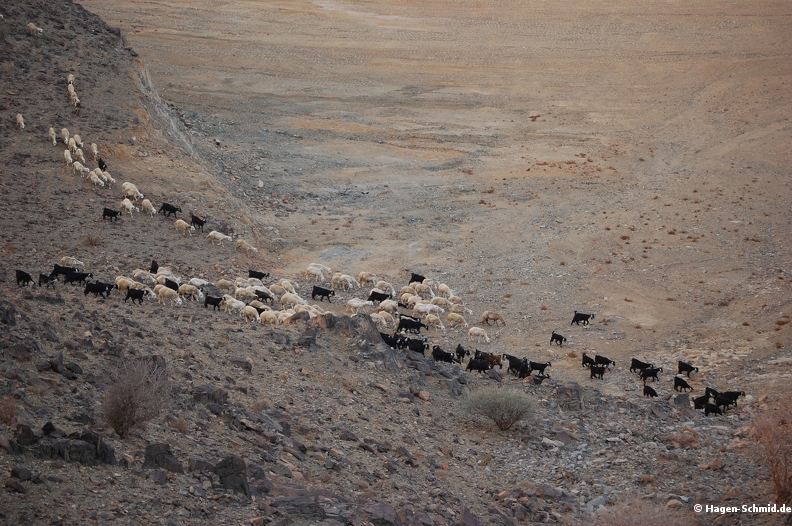 Hills east of Jeddah