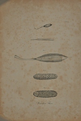 DSC 4696