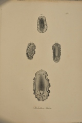 DSC 4700