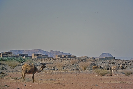 Village near damm 